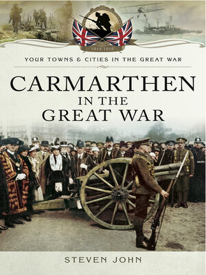 cover image of Carmarthen in the Great War